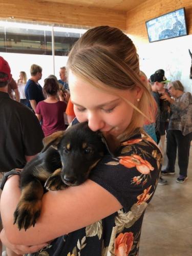 Happy Trails Kennels, AK, USA